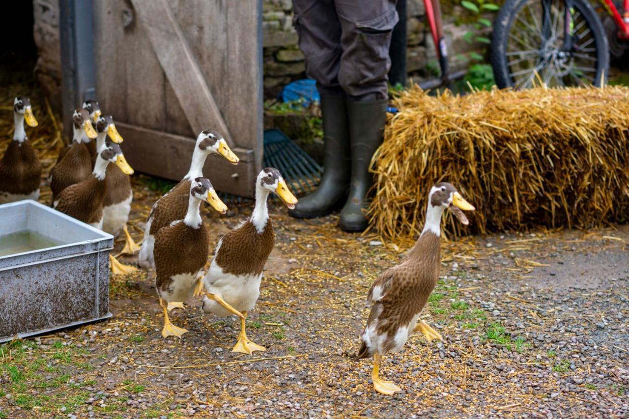 Drovers Rest Farm 5* Hay-On-Wye