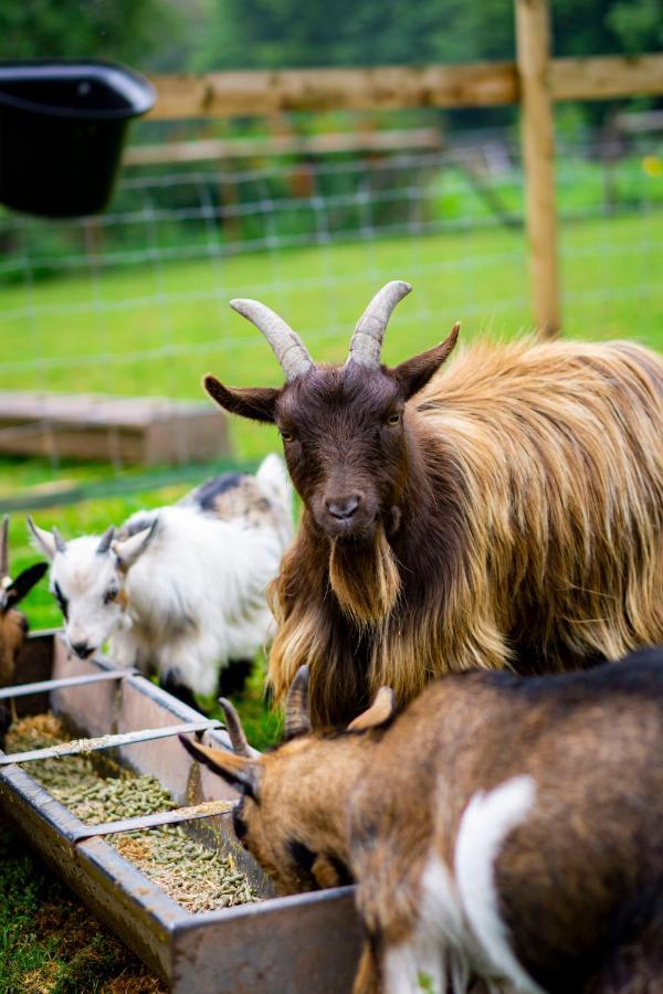 Drovers Rest Farm 5*