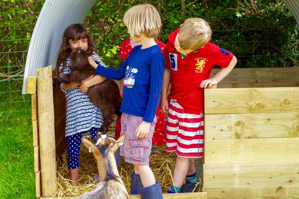 Drovers Rest Farm