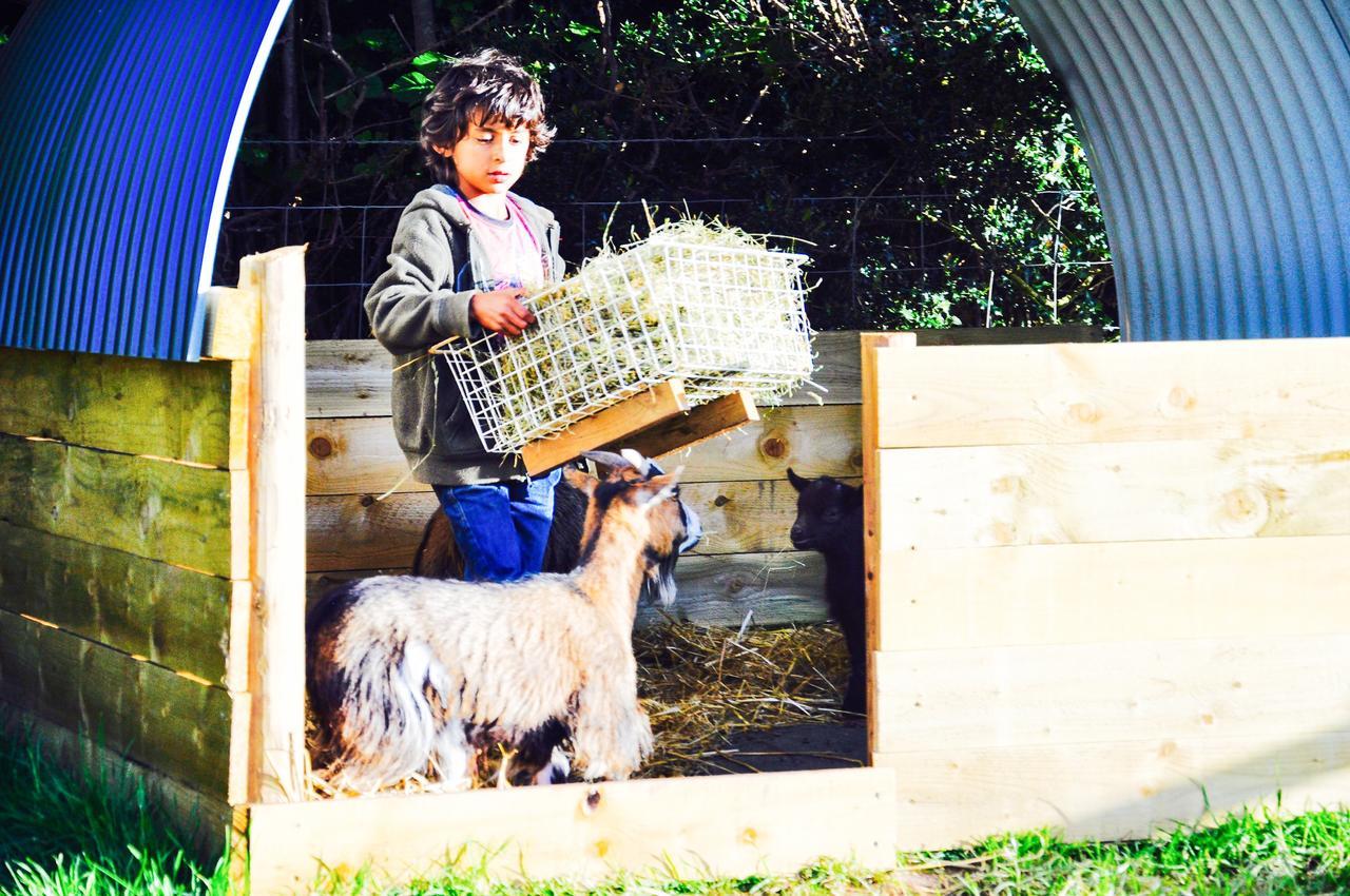 Drovers Rest Farm