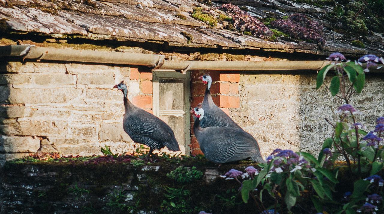 Village de vacances Drovers Rest Farm Hay-On-Wye